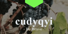 cudyqyi